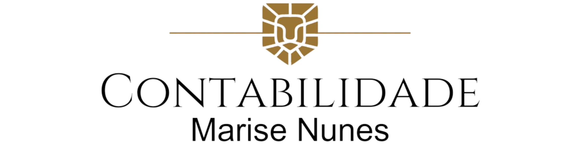 marise-nunes-contabilidade-logo 2